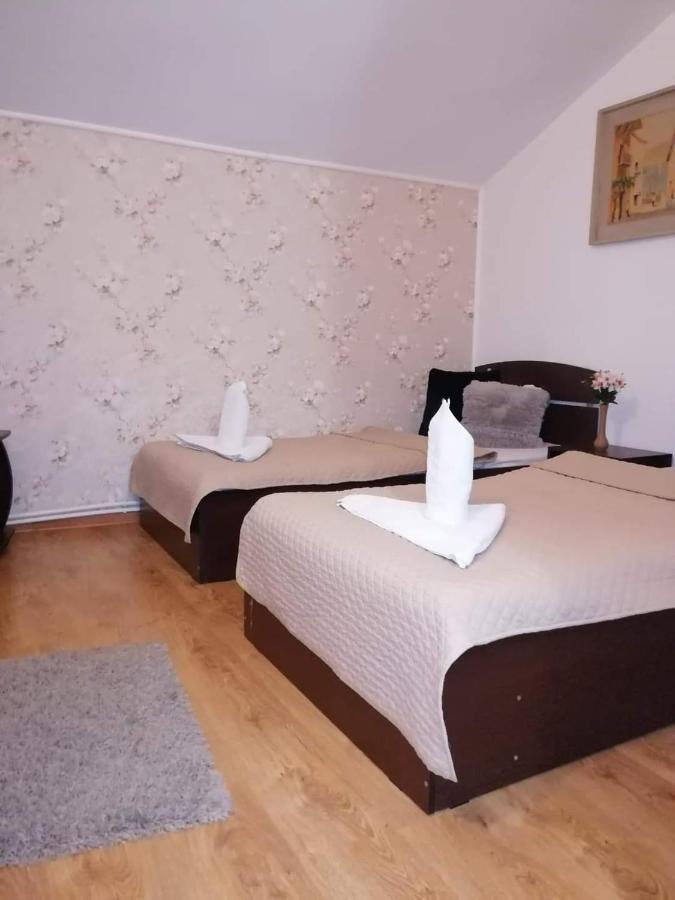 Casa Regala Ear Otel Craiova Dış mekan fotoğraf