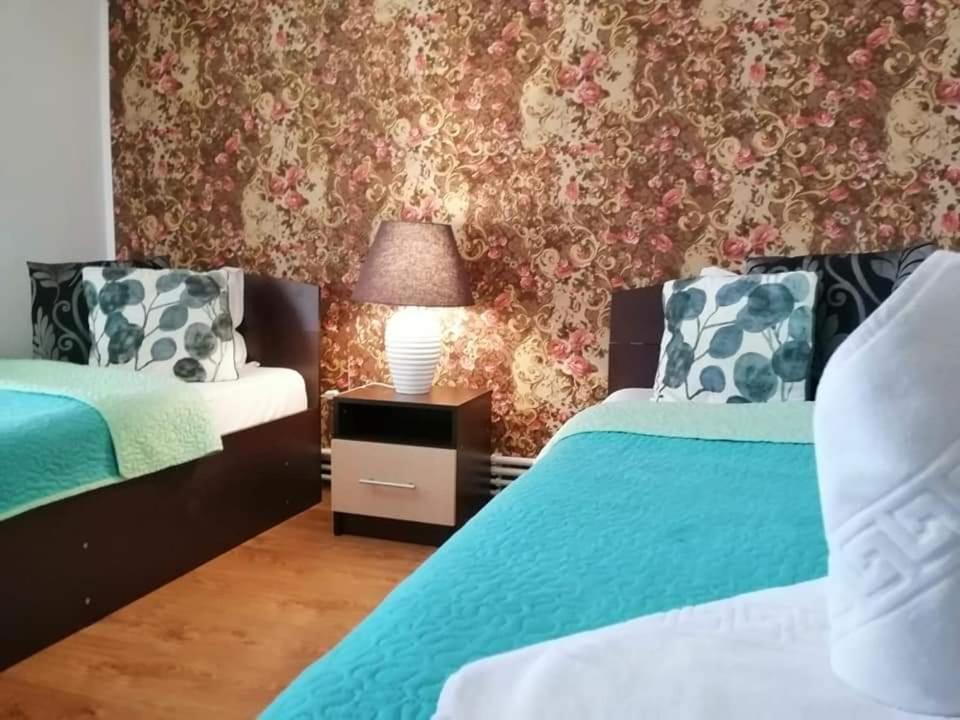 Casa Regala Ear Otel Craiova Dış mekan fotoğraf