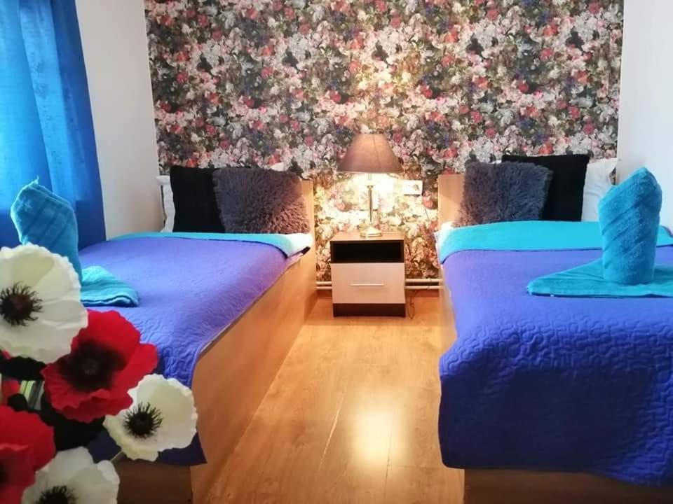Casa Regala Ear Otel Craiova Dış mekan fotoğraf