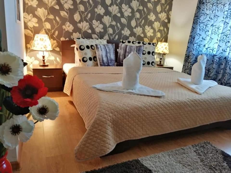 Casa Regala Ear Otel Craiova Dış mekan fotoğraf