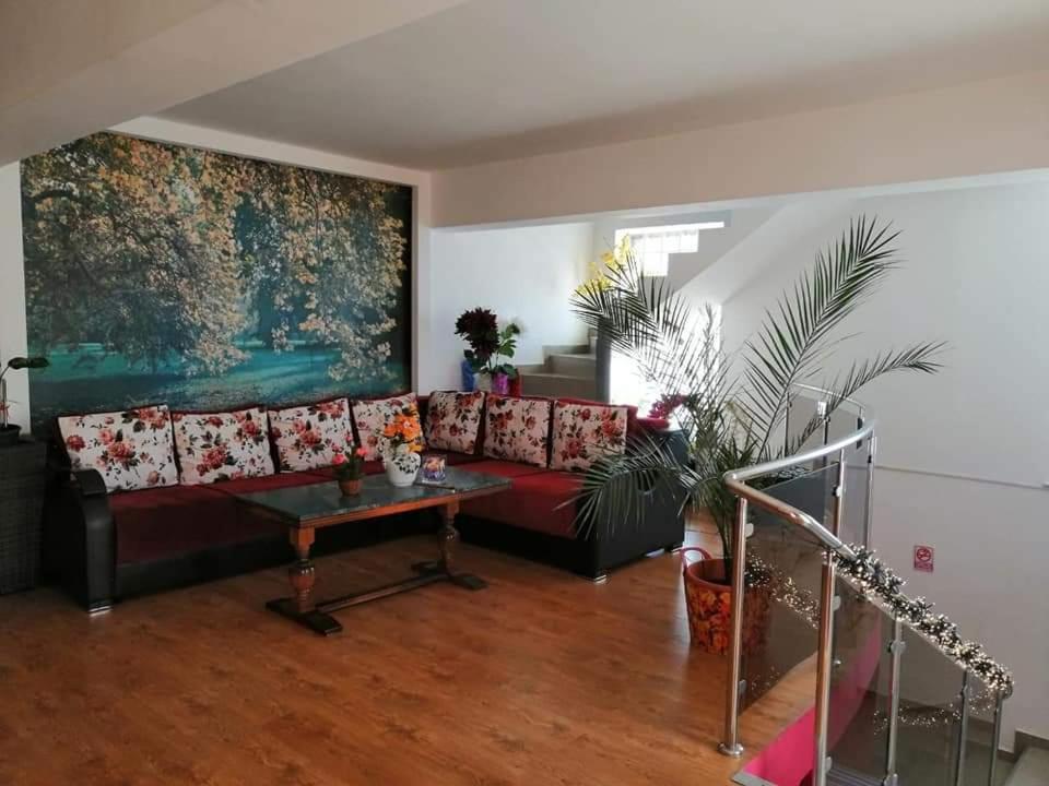 Casa Regala Ear Otel Craiova Dış mekan fotoğraf