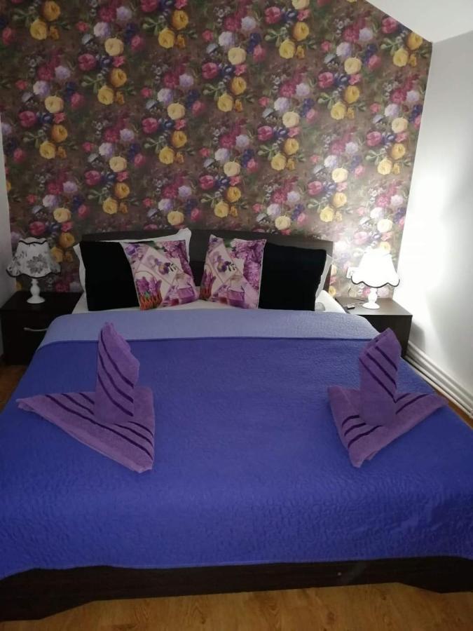 Casa Regala Ear Otel Craiova Dış mekan fotoğraf